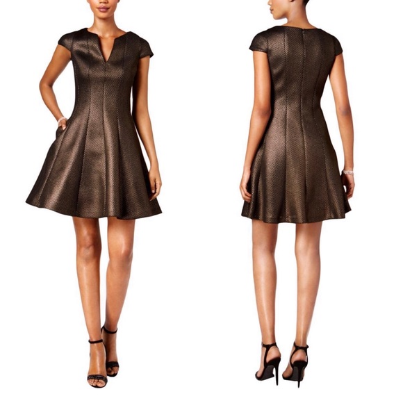 julia jordan Dresses & Skirts - Julia Jordan Mesh Jacquard Fit & Flare Dress